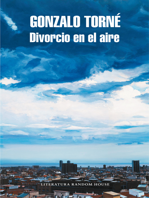 Title details for Divorcio en el aire by Gonzalo Torné - Wait list